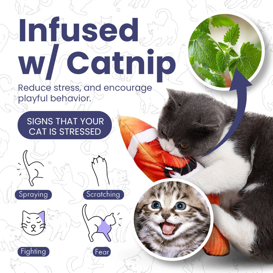 Catnip Electric Jumping Simulation Fish 🐟Cat Toy