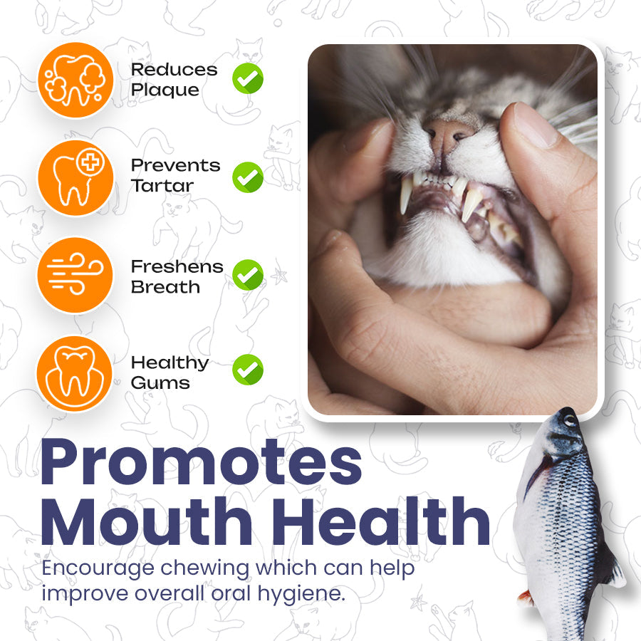 Catnip Electric Jumping Simulation Fish 🐟Cat Toy